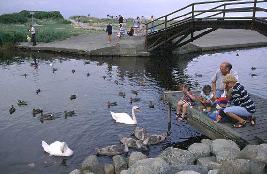 Hamnen i Saeby, Danmark
