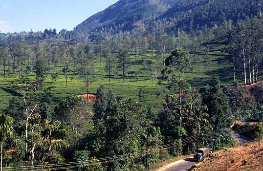 Sri Lanka