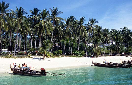 Hotell vid Ton Sai Bay, Phi Phi, Thailand